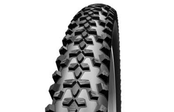 Фото: Покрышка 29 x 2.25 SCHWALBE Smart Sam HS476