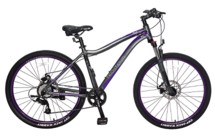 Фото: Велосипед TECH TEAM Elis 26, рама 15, Фиолетовый