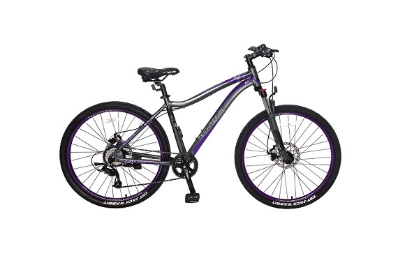 Фото: Велосипед TECH TEAM Elis 26, рама 15, Фиолетовый